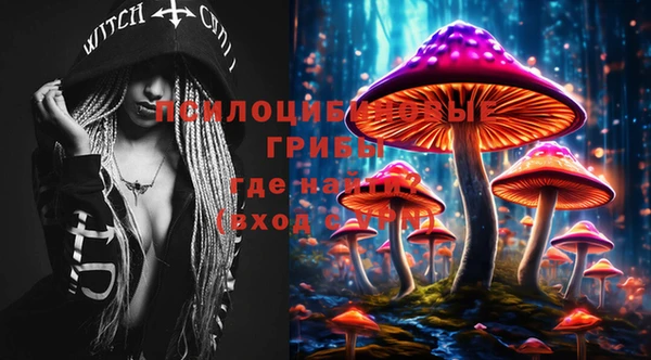 МДПВ Абинск