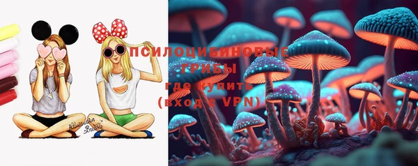 МДПВ Абинск