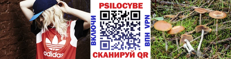 Галлюциногенные грибы мухоморы  Архангельск 